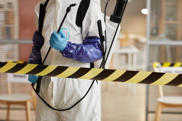 Professional Sewage Cleanup technician working in Woodlyn, PA